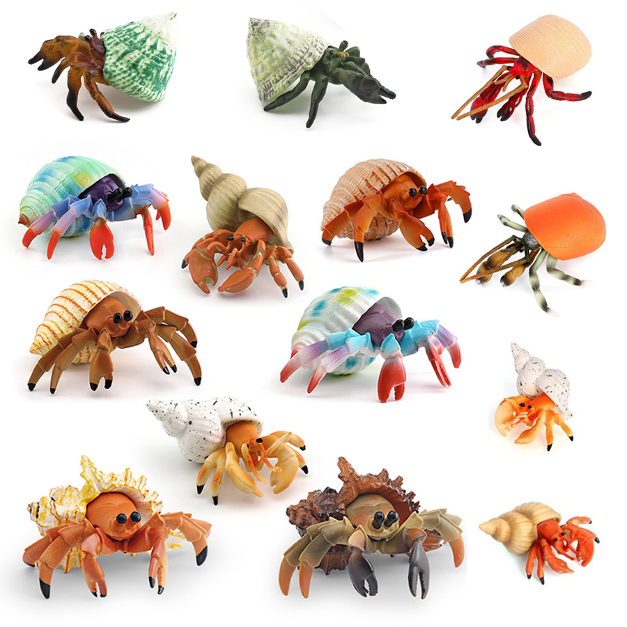Realistic Hermit Crab Figurine - đánh giá và giá Kids Toys 3 Year Old