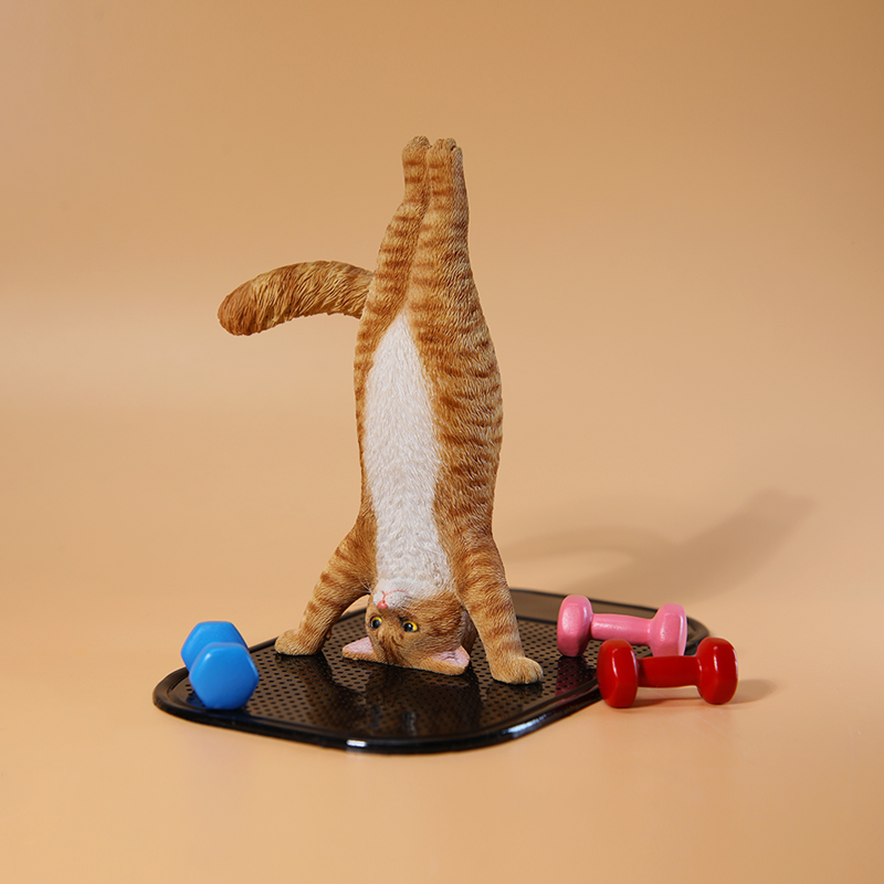 1/6 Scale Mini Simulated Fitne - đánh giá và giá Kids Yoga Toys