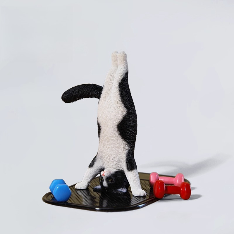 1/6 Scale Mini Simulated Fitne - đánh giá và giá Kids Yoga Toys